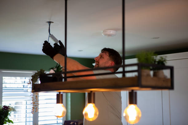 Best Electrician for Home Renovation  in Franklin, WI